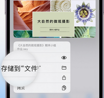 京山apple维修中心分享iPhone文件应用中存储和找到下载文件