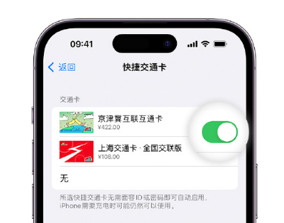 京山apple维修点分享iPhone上更换Apple Pay快捷交通卡手绘卡面 