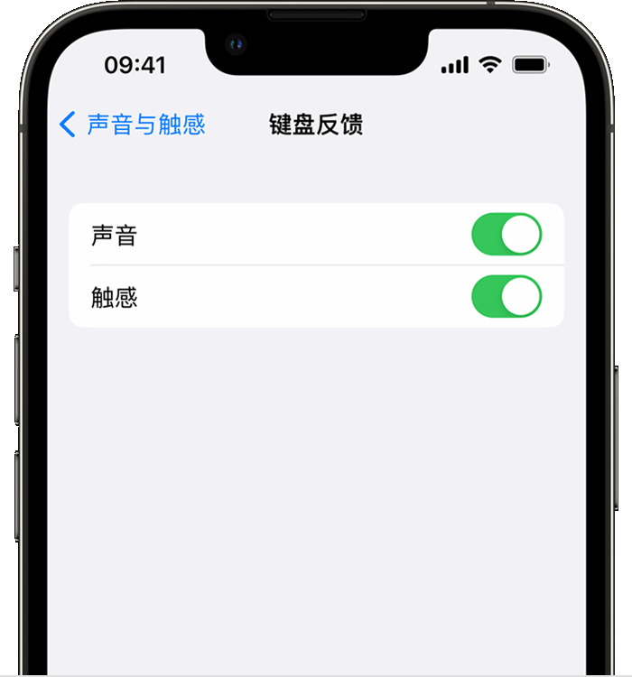 京山苹果14维修店分享如何在 iPhone 14 机型中使用触感键盘 