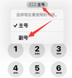 京山苹果14维修店分享iPhone 14 Pro Max使用副卡打电话的方法 