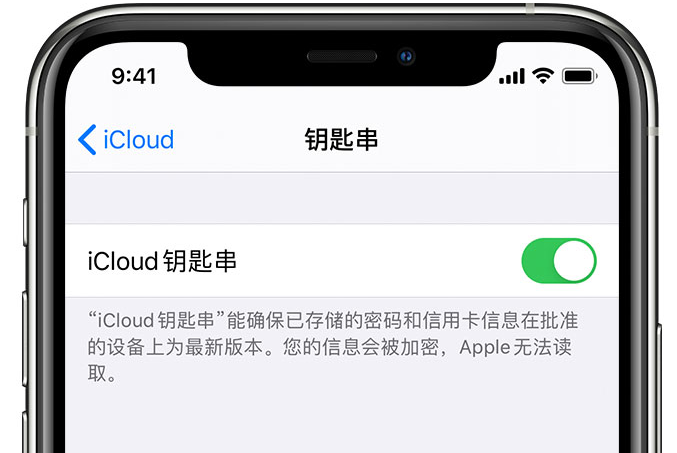 京山苹果手机维修分享在 iPhone 上开启 iCloud 钥匙串之后会储存哪些信息 